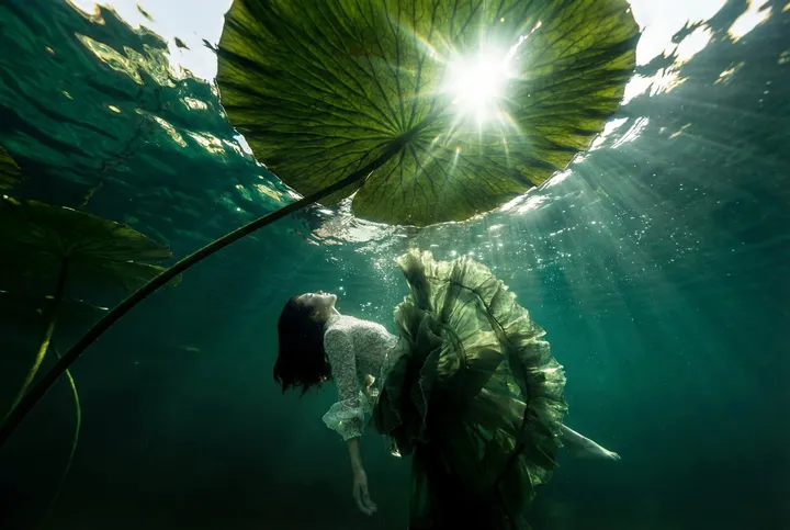 Under the lily pads